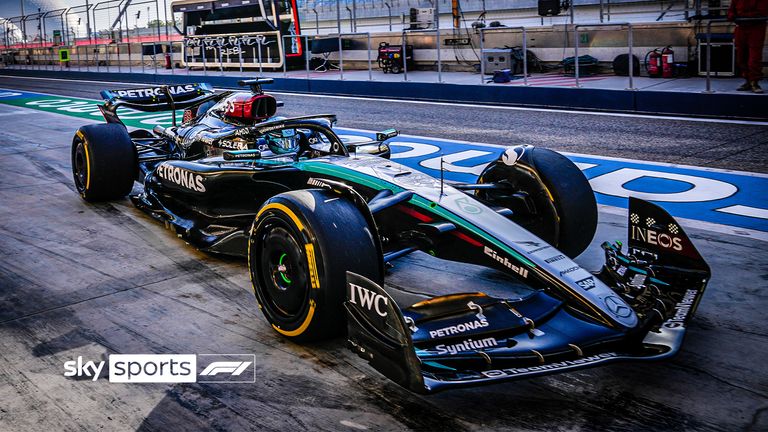 TED ON MERC FRONT WING