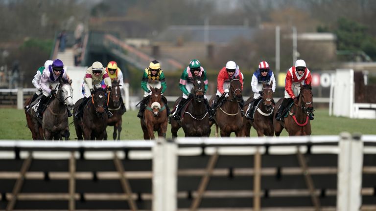 Plumpton racecourse hurdles generic